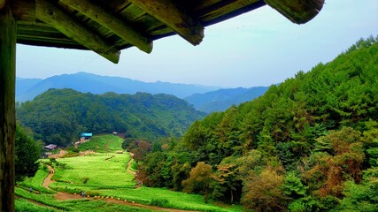 mountain landscape with green grass