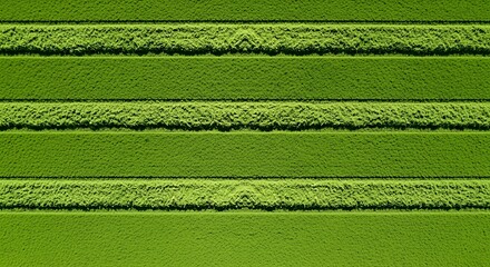 Abstract Green Pattern Texture with Horizontal Lines and Natural Feel