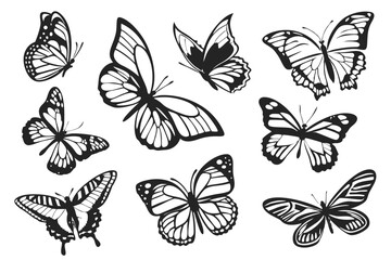 Sixteen Butterfly Silhouettes – Black Vector Insect Icons