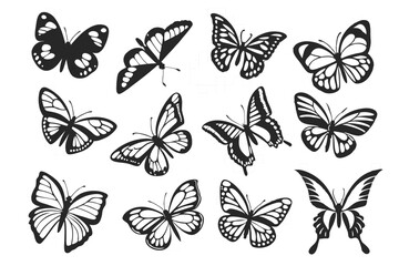 Butterfly Vector Silhouettes – Black Icon Set on Transparent Background