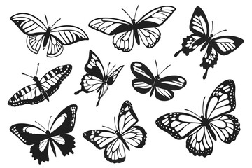 Butterfly Morphology Silhouettes – Transparent Black Vector Set