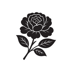 Elegant Silhouette of Blooming Flower Vector on White Background