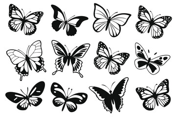 Butterfly Morphology Silhouettes &ndash; Transparent Black Vector Set