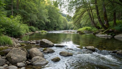 Obraz premium river in the forest