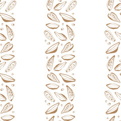 Warm cardamom seamless pattern with hand drawn yellow and brown pods perfect for kitchen packaging wrapping and surface design