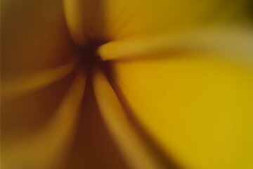 Abstract macro shot with soft yellow tones and a dark center, featuring smooth, flowing shapes,...