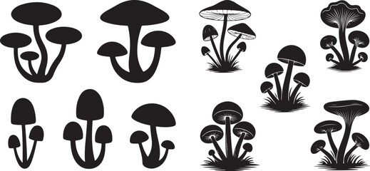 mushroom silhouette with cap and stem, vector black and illustration.