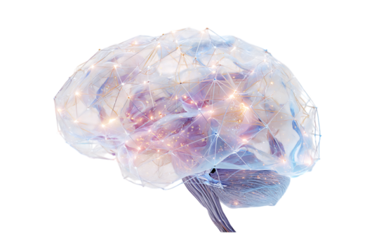 Glowing human brain, intelligence, mind power concept.