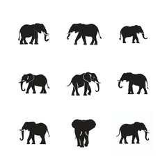 A diverse collection of black vector animal silhouettes, including wild elephant perfect for nature and safari designs