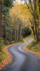 Obraz premium A scenic road winding through a forest in fall.