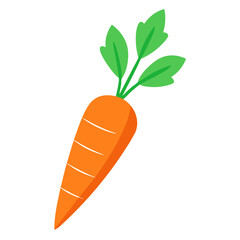 carrot vectors White Background