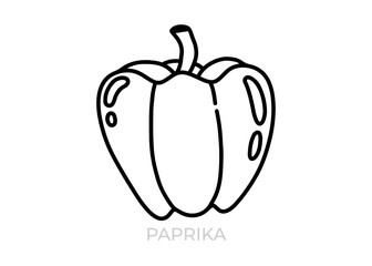 vector illustration of a bell pepper icon