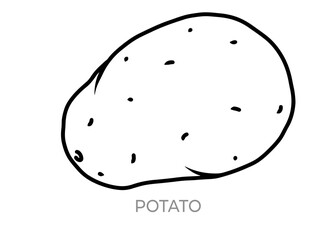 vector illustration of an potato icon