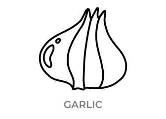 vector illustration of a garlic icon