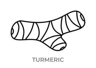 vector illustration of a turmeric icon