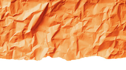 a piece of crumpled paper with a white background