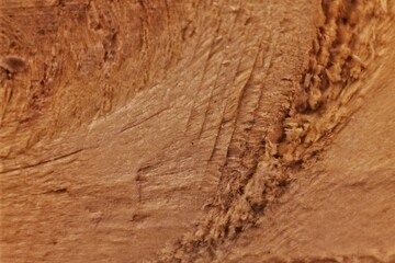 Close-up of a rough wood surface showing natural textures, grain patterns, and deep cuts