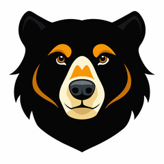 Andean Bear Head on White Background – South American Wildlife Vector