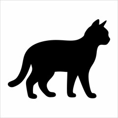 silhouette of a cat