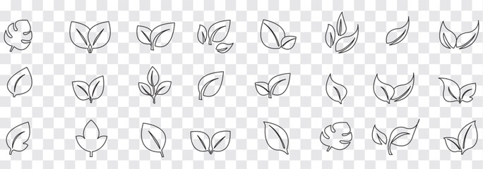 Naklejka premium Black Leaf icon set. Eco friendly and bio logo, vegan. Leaves collection. Ecology leaf set. Leaf isolated on white background. Variety leaves Design. EPS 10.