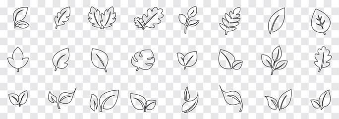 Black Leaf icon set. Eco friendly and bio logo, vegan. Leaves collection. Ecology leaf set. Leaf isolated  on white background. Variety leaves Design. EPS 10.