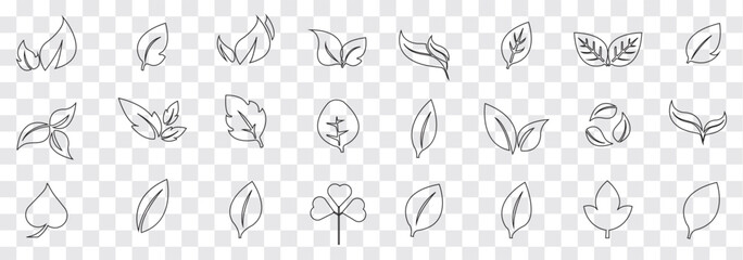 Set of a Green leaf and Black leaf icon. Various shapes of green leaves of trees and plants. Environment and nature leaf vector illustration. Best Design.