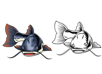 Hand Drawn Illustration of Catfish Isolated with black and white version
