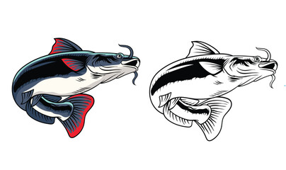 Hand Drawn Illustration of Catfish Isolated with black and white version