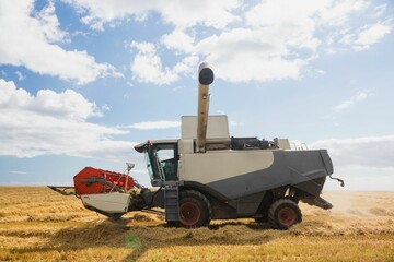 Fototapeta premium View of a harvester on a field