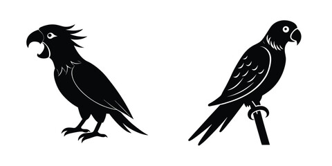 Parrot Mimicking Speech Flat Silhouette on White Background