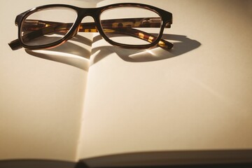 Plastic eyeglasses on book