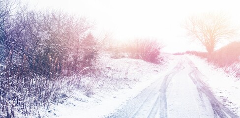 Snow covered road by trees