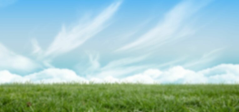 Fototapeta Panoramic shot of green field