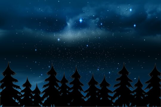 Fototapeta Starry sky over fir trees