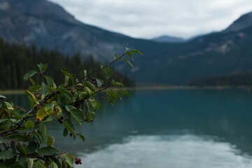 Lake and mountain at countryside