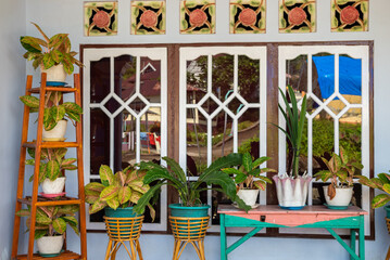 Front view of a house decorated with many potted flower plants