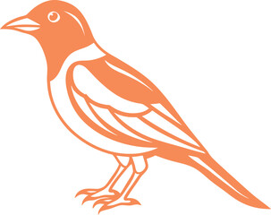 vector illustration of a bird on white