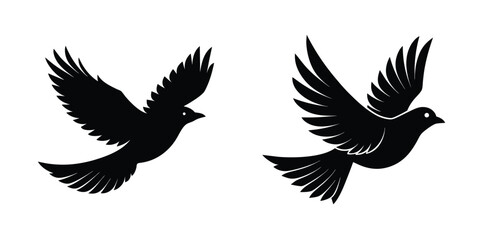 Bird Soaring Upward Flat Silhouette on White Background
