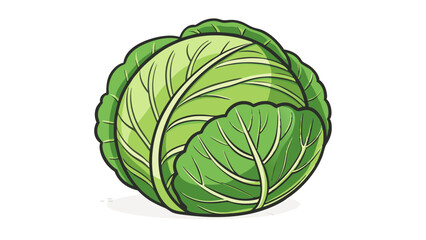 Fototapeta premium Cabbage Icon – Flat Vector Illustration