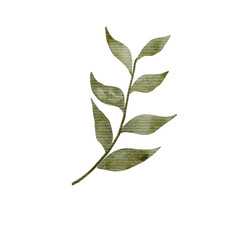 Watercolor Leaf