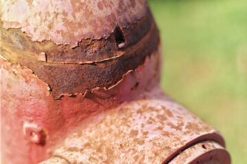 Close-up of a weathered, rusted object with peeling paint and natural texture. The image highlights...