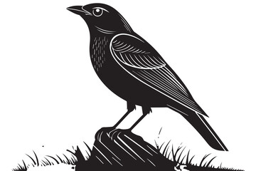 Set of black bird silhouettes. Vector elements for design.