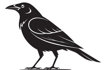 Set of black bird silhouettes. Vector elements for design.
