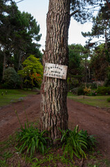 Rustic handmade sign on tree warning about children playing