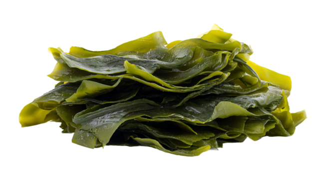 a pile of seaweed on a white surface