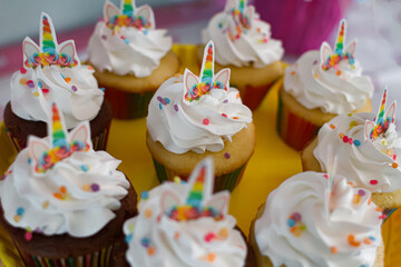 birthday cupcakes on a white background