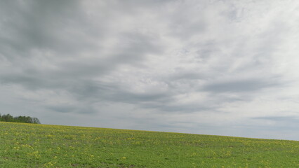 Lush and Vibrant Green Fields Stretching Out Under a Beautifully Cloudy Sky Above