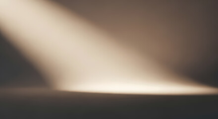 Soft, diffused spotlight illuminates a muted studio backdrop.