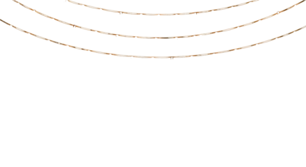 Three delicate gold string lights isolated PNG with Transparent Background