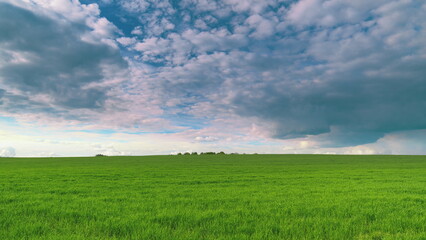 A Vast Green Field Stretching Beneath a Dramatic Cloudy Sky Awaits Your Discovery Time lapse.